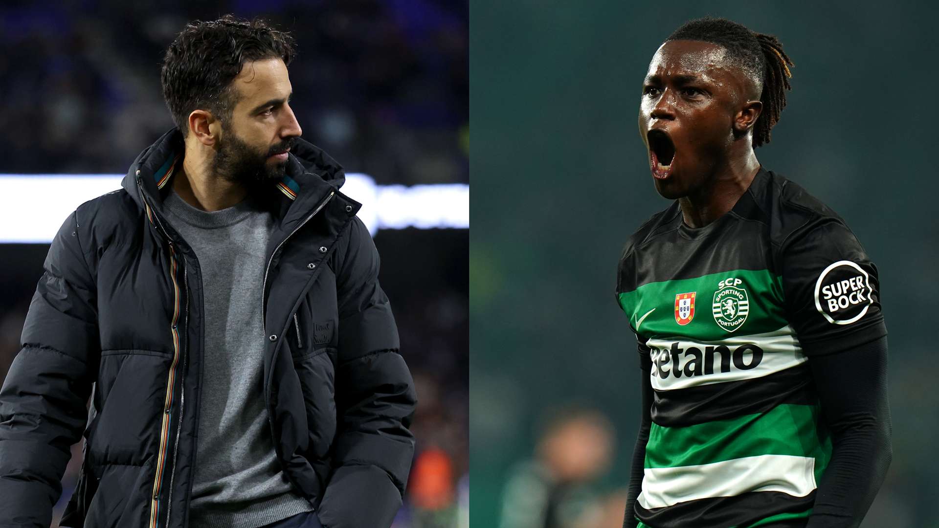 更多的赞誉 更多的赞誉